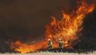 دعم أسترالي ونيوزيلندي للمشاركة في إطفاء حرائق غابات كاليفورنيا