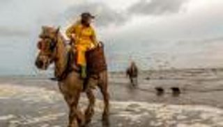 بالصور.. التغير المناخي يهدد مستقبل صيد الروبيان في بلجيكا