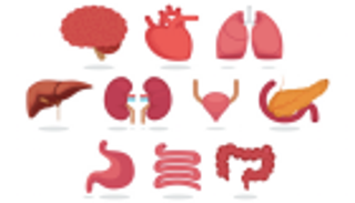 بريطانيا تخطط لزيادة عدد المتبرعين بالأعضاء