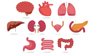 6 آلاف اسم مدرج على قائمة الانتظار لزرع الأعضاء في بريطانيا