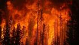 ارتفاع قياسي بدرجات الحرارة يشعل غابات البرتغال