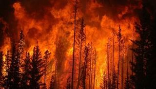 اتساع رقعة حرائق الغابات في البرتغال - أرشيفية