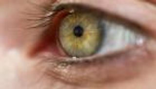 الحجر الصحي المصري يعدم قرنيتين بمطار القاهرة