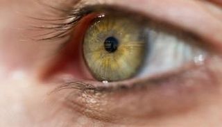 إعدام قرنيتين بمطار القاهرة لانتهاء صلاحيتهما