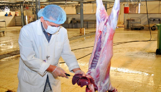 مسلخ عيد الأضحى (أرشيفية)