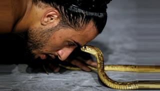 أمير الرفاعي خلال أحد العروض