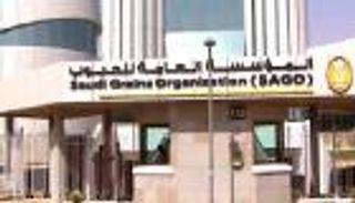 السعودية توقف شراء القمح والشعير من كندا