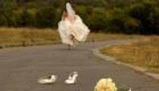 عروس تونسية تهرب في ليلة زفافها ما السبب؟