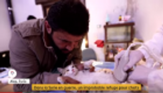 كهربائي سوري يستضيف 60 قطة ويتكفل برعايتها