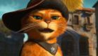 أفضل 10 أفلام لعشاق القطط.. Nine Lives يصلح للمشاهدة العائلية
