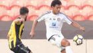 اتحاد جدة يضم رومارينيو مهاجم الجزيرة الإماراتي