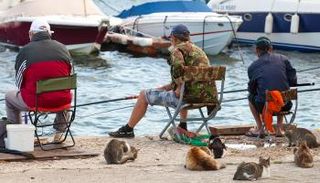 هواية "صيد الشوارع" تنتشر  في المدن الأوروبية