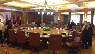 جامعة الدول العربية تؤكد أهمية استثمار طاقات الشباب 