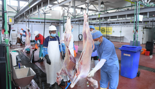 مسالخ أبوظبي جاهزة لاستقبال المضحين