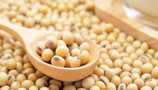 الإفراط في استهلاك الصويا له أثر سلبي على الغدة الدرقية
