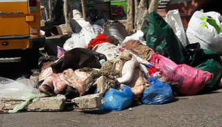 نفايات عيد الأضحى في المغرب - أرشيفية