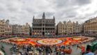 بالصور.. "سجادة الزهور" الزاهية تزين وسط بروكسل وتأسر الأنظار 