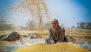 مصر.. احتياطيات القمح تكفي 4 أشهر والسكر 3.7 شهر