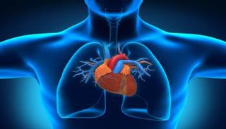 قلب الإنسان