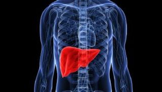 دواء للسرطان يعيد تجديد خلايا الكبد