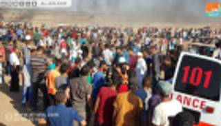 فلسطين.. استشهاد اثنين وإصابة 270 آخرين على حدود غزة