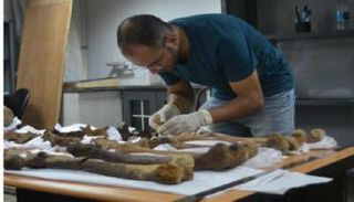 أثريون مصريون يكتشفون المزيد من أسرار "تابوت الإسكندرية"