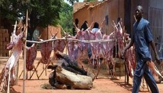 النيجر تناشد المواطنين الحفاظ على الأشجار في عيد الأضحى