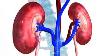 العلاج بالتغذية يمكنه تأخير حاجة مرضى الكلى للغسيل