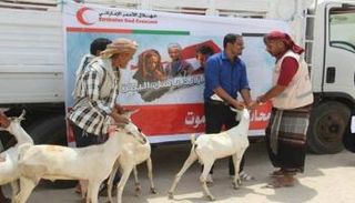 الهلال الأحمر الإماراتي يوزع الأضاحي في حضرموت ـ أرشيفية