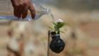 تقنية روسية لتحويل الذخائر القديمة إلى سماد باستخدام البكتيريا