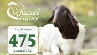 استعدادات سعودية خاصة للإفادة من الهدي والأضاحي