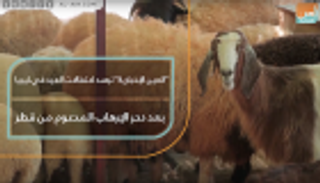 "العين الإخبارية" ترصد احتفالات عيد الأضحى في ليبيا