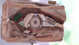 كاميرا خشبية