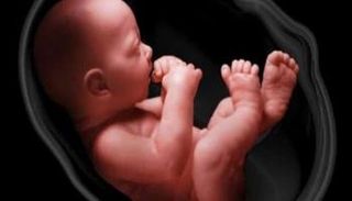 جنين في بطن والدته
