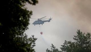 السيطرة على حريق في غابة قرب برلين