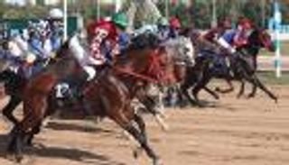 "افونموث" يحصد كأس رئيس دولة الإمارات للخيول العربية في روسيا