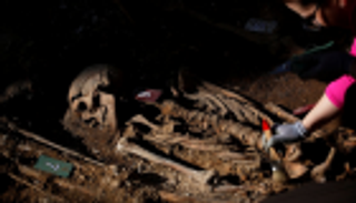 اكتشاف مقبرة جماعية بمصر تنتمي للإسكندرية البطلمية