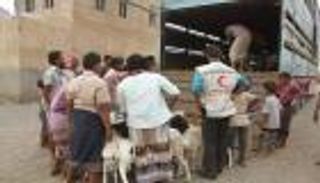 بعثات الإمارات في الخارج تختتم مشاريع توزيع الأضاحي