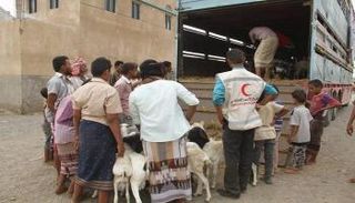 توزيع أضاحي العيد على الأسر اليمنية