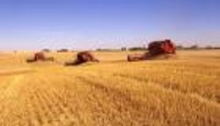 ستيب الروسية تسعى لتصدير الحبوب إلى مصر