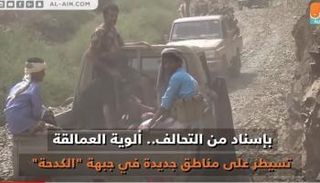 ألوية العمالقة تحقق انتصارات مهمة غربي تعز اليمنية