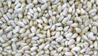 عقار جديد لعلاج ارتفاع مستوى الكوليسترول