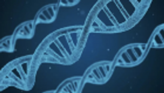 "دبي الرياضي" يستخدم علم الجينات للمرة الأولى في الشرق الأوسط