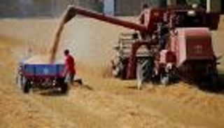 فشل توريد صفقة قمح لإيران بسبب نقص التمويل