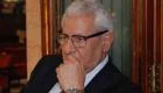 «الإخوان» يحاولون إثارة الشارع المصري