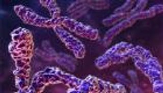 اكتشاف جينات ترفع استجابة سرطان المبيض للعلاج الكيميائي