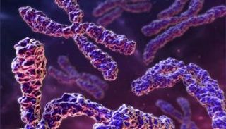 اكتشاف الجين يساهم في زيادة فاعلية العلاج