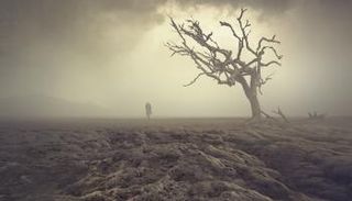 كتاب "الأيديولوجيات الكربونية" يكشف حقيقة الخطر البيئي