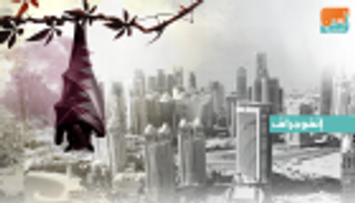 إنفوجراف.. مؤشرات رسمية تؤكد هبوط صناعة العقارات في قطر