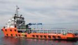 62 مليون دولار استثمارات جديدة لـ"ماريدايف" في مصر وأمريكا اللاتينية